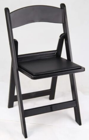 Elegant Black Chairs